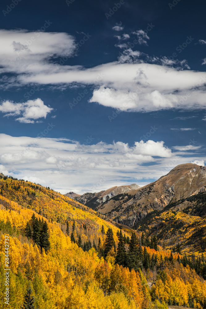 Mountain vista covered in Autumn, aspen trees, from Million Dollar Highway, near Ouray, Colorado