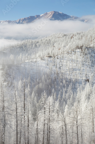 USA, Colorado. Hoarfrost coats the trees of Pike National Forest. © Jaynes Gallery/Danita Delimont
