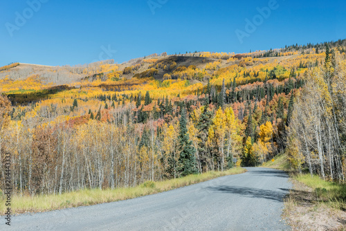 Usa  Colorado  Routt National Forest  Autumn Road in the Flat Tops Wilderness