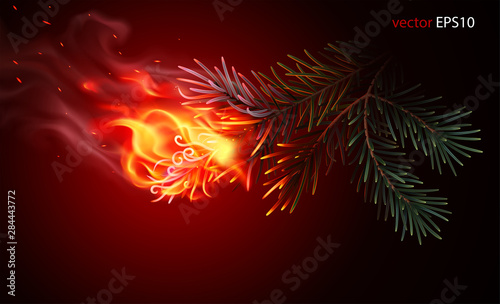 Burning pine tree branch. Realistic vector image. Flaming needles. Alarming scene of forest fire. Burnt spruce, fir, pine, cedar. Fiery conifer. Ignited twig of   Christmas tree. Beginning of wildfire