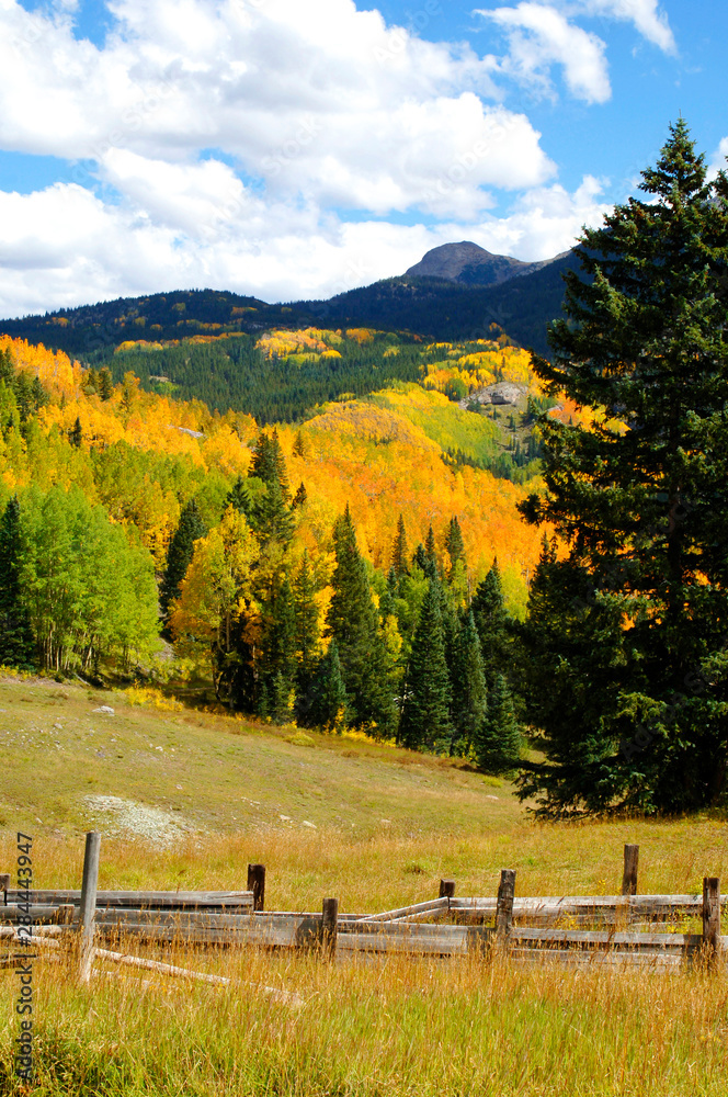 Fall color in the San Juan Mountains of Colorado