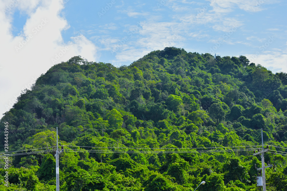 In a forest that is completely natural There are still many people. Popular to build houses to live in the mountains In a forest that is completely natural There are still many people. Popular to build houses to live in the mountains