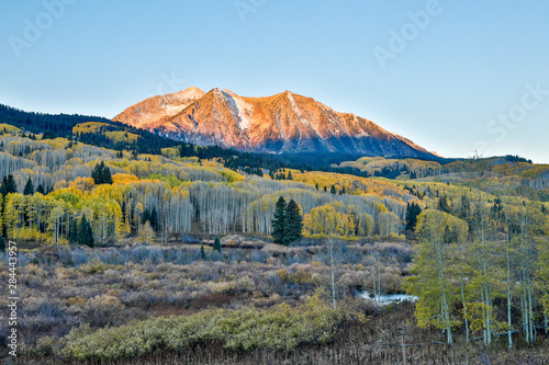 USA, Colorado, Crested Butte. Fall colors at Kebler Pass