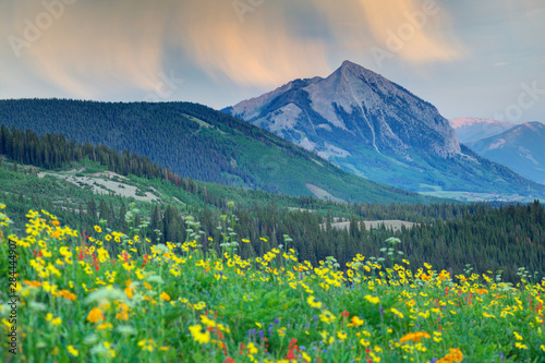 USA, Colorado, Crested Butte. Landscape of Mt Crested Butte and wildflowers. 