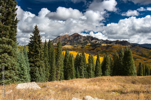 Forest and Fall color under Mount Owen and Ruby Peak, Beckwith Pass Trail, Crested Butte, Gunnison National Forest, Colorado photo