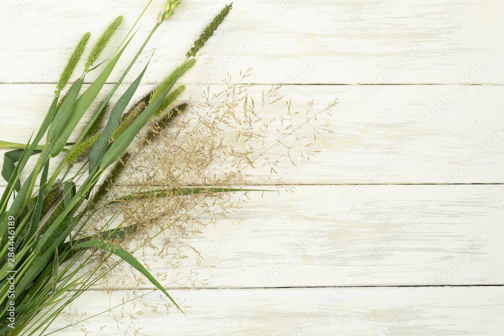 Bunch of fresh green grass on a white wooden background. Top view. Flat lay. Bunch of fresh green grass on a white wooden background. Top view. Flat lay.
