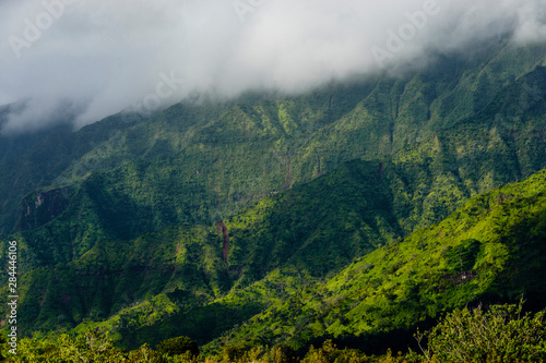 USA  Hawaii  Kauai. Vegetation and clouds cover the Makaleha Mountains  a range in Kauai  Hawaii.
