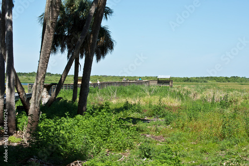 USA, Florida, Sarasota, Myakka River State Park. Birdwalk photo