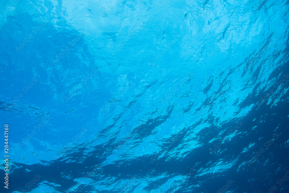 Scuba Diving at Molokini Crater, Maui, Hawaii, USA Scuba Diving at Molokini Crater, Maui, Hawaii, USA