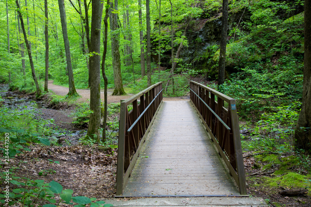 Trail bridge at Ferne Clyffe State Park, Johnson County, Illinois Trail bridge at Ferne Clyffe State Park, Johnson County, Illinois