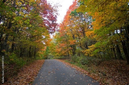 USA - Kentucky. Fall color along road to Big Black Mountain (highest point of Kentucky).