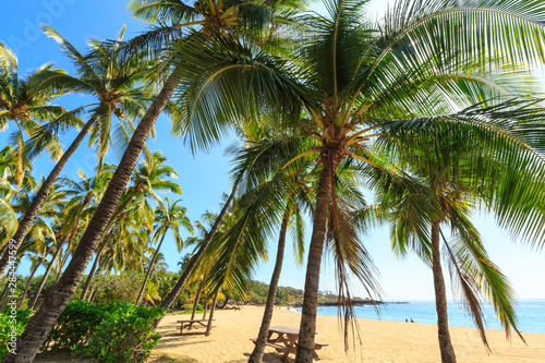 Hulopo e Beach Park  considered one of the finest beaches in the world  Lanai Island  Hawaii  USA