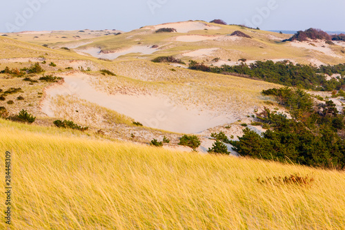 The dunes in 'The Provincelands' at Cape Cod National Seashore in Provincetown, Massachusetts. photo