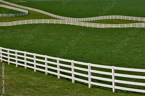 White fence winding across Calumet horse farm, Lexington, Kentucky