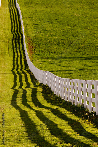 White wooden fence running across horse farm at sunset, Calumet horse farm, Lexington, Kentucky