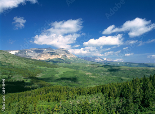 USA, Montana, Glacier NP. Dense forests reach into the foothills of the Rocky Mountains in Glacier National Park, Montana.
