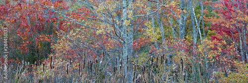 Foto USA, Maine