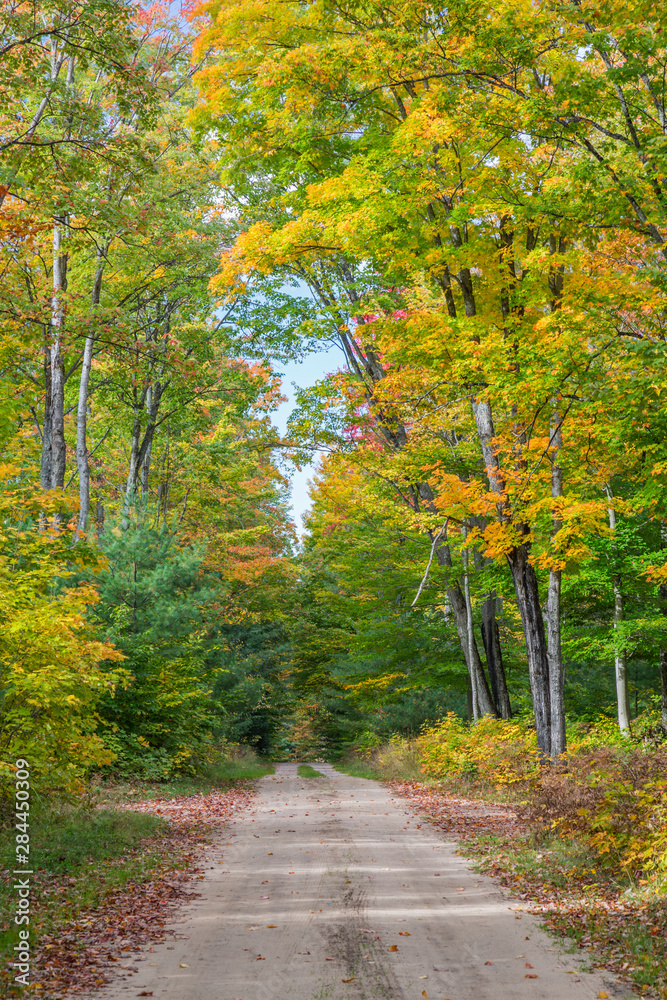 Michigan, Hiawatha National Forest, road with trees in fall color