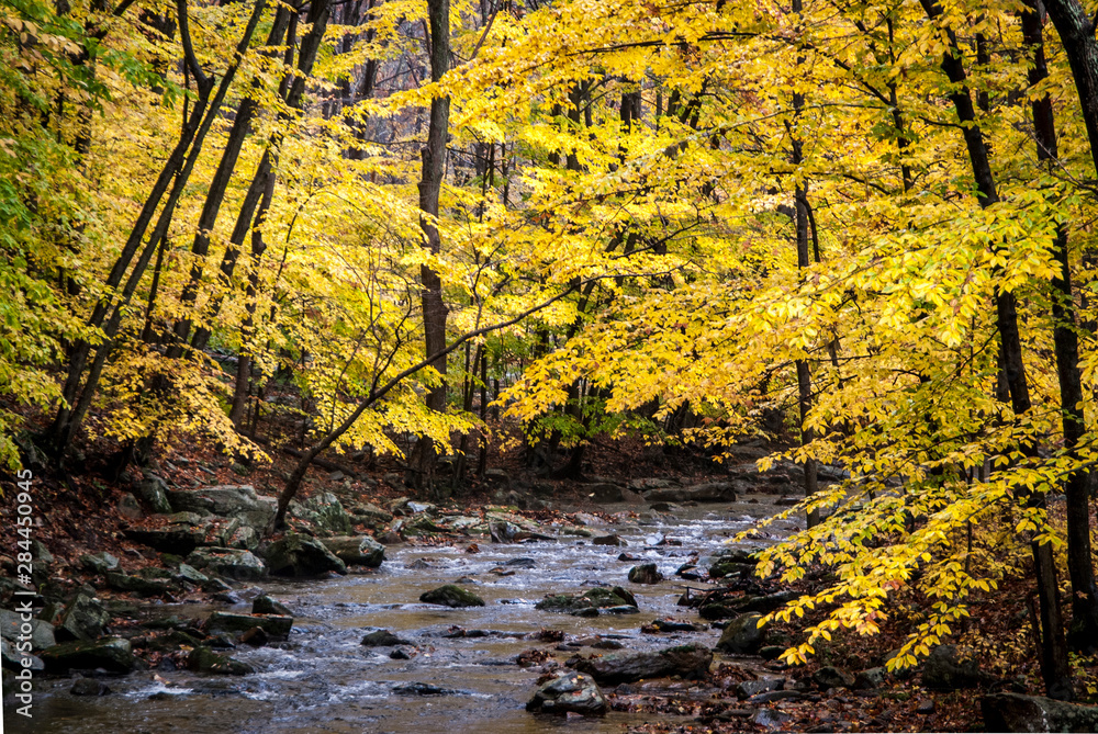 USA, New Jersey, Hunterdon, Rockaway Stream on Rockaway Road (between Mountainville and Oldwick). USA, New Jersey, Hunterdon, Rockaway Stream on Rockaway Road (between Mountainville and Oldwick).