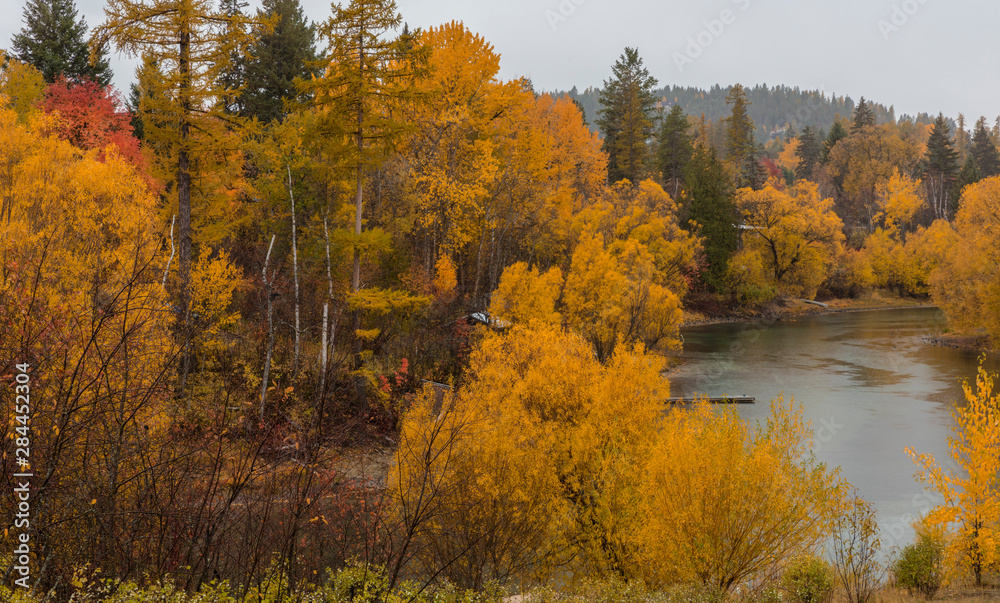 Autumn color lines the Whitefish River in Whitefish, Montana, USA