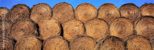 USA, North Dakota, Dunn Co. Rolls of hay glimmer like stacked, burnished pennies, near Kildeer in Dunn County, North Dakota.