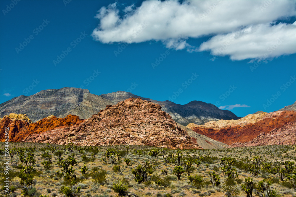 Red Rock Canyon National Conservation Area, Nevada, USA.