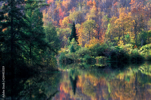 Fototapeta Naklejka Na Ścianę i Meble -  North America, United States, New England. Reflection of fall foliage.