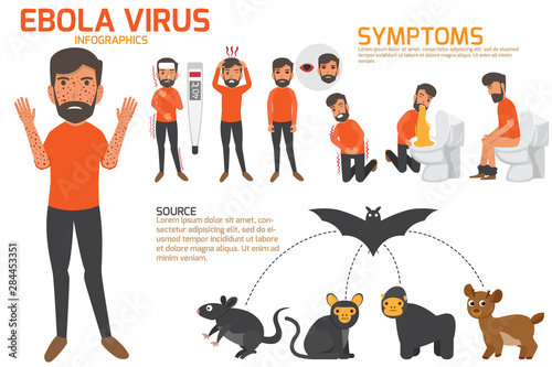 Design of details ebola virus sign symptoms and prevention infographics vector concept. health and medical vector illustration.