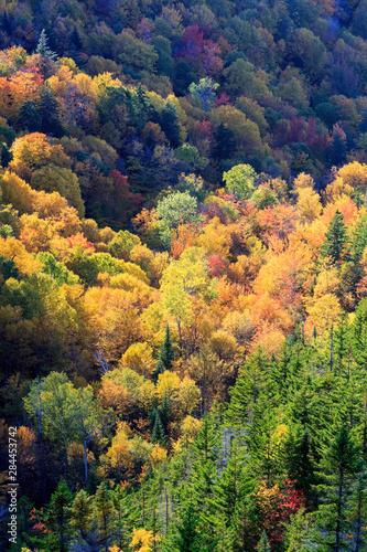 Fall foliage on Mount Madison in New Hampshire's White Mountain National Forest. View from Dome Rock.