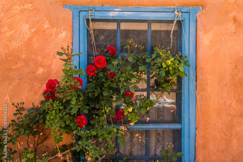 Fototapeta premium Santa Fe, Nowy Meksyk. Malowane na niebiesko drewniane okno kratowe z czerwonym krzewem róży na tle ściany z terakoty