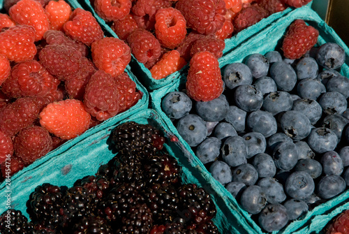 US: Oregon, Columbia River Basin, Portland, farmers' market outside the EcoTrust Building, blueberries, raspberries, blackberries