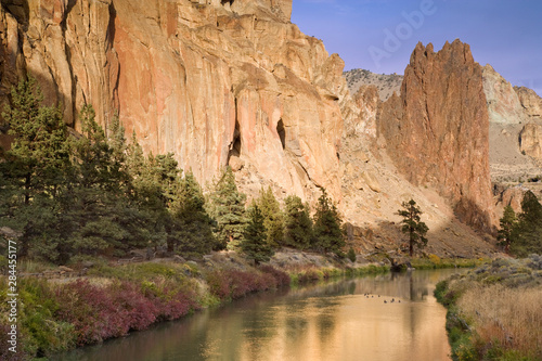 USA, Oregon, Smith Rock State Park. Ducks on Crooked River next to rocky cliffs. 