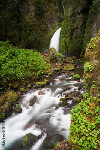 USA, Oregon, Columbia River Gorge. Tanner Creek becomes Wahclella Falls. 