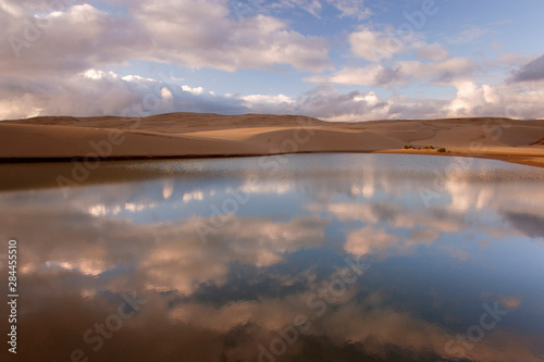 USA, Oregon, Siuslaw National Forest, Umpqua Dunes. Contrast of a lake next to sand dunes.  photo