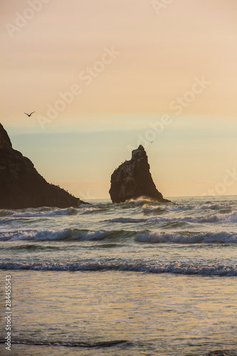 Cannon Beach  Oregon. Seagulls fly over haystack rocks and crashing waves at sunset