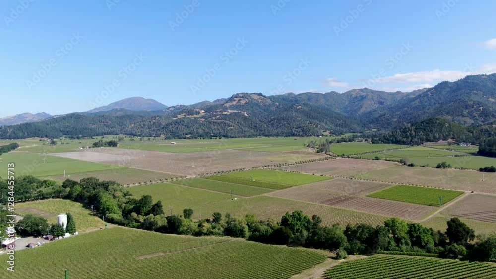 Aerial view of Napa Valley vineyard landscape during summer season. Napa County, in California's Wine Country. Aerial view of Napa Valley vineyard landscape during summer season. Napa County, in California's Wine Country.
