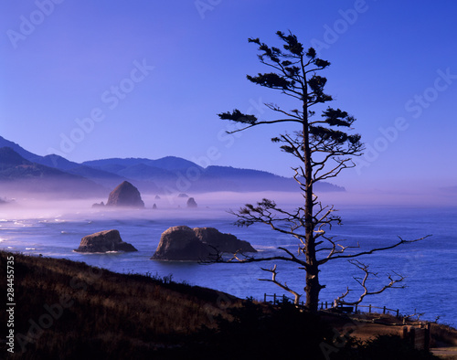OR, Ecola SP, Seastacks at Cannon Beach, Haystack Rock in background