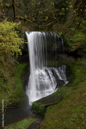 Usa  Oregon. Middle North Falls during early spring  Silver Falls State Park