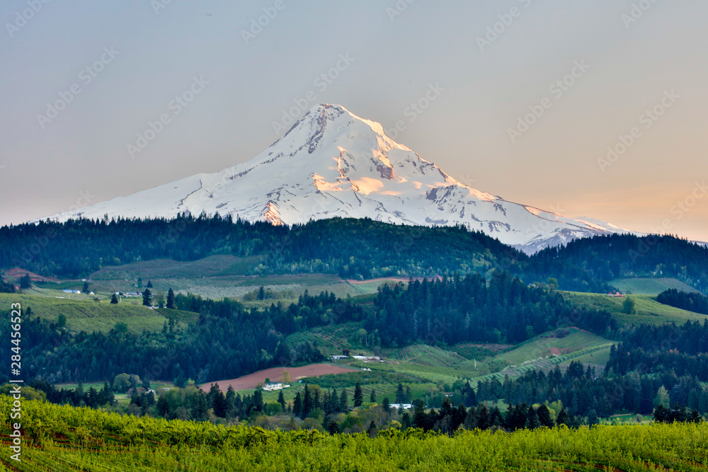 Fototapeta premium USA, Oregon, Columbia River Gorge, Mt. Hood Landscape