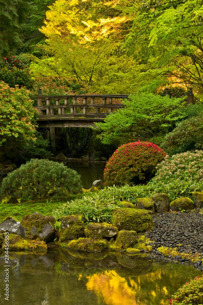Moon Bridge, spring, Portland Japanese Garden, Portland, Oregon, USA