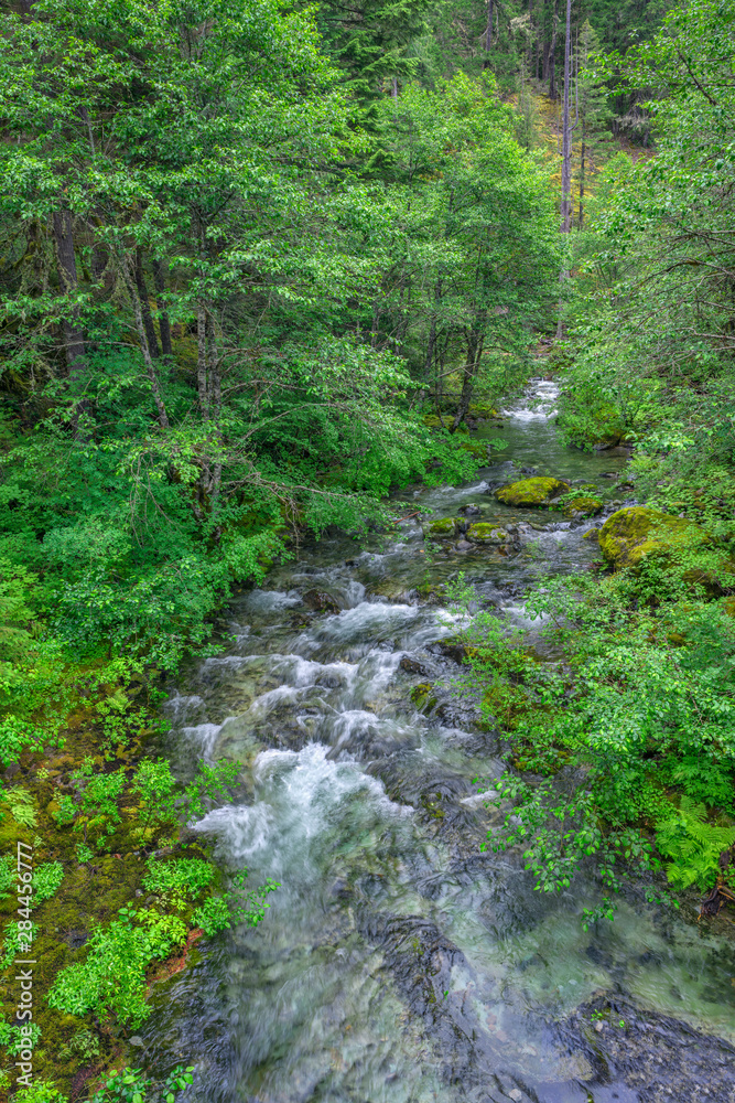 Fototapeta premium USA, Oregon, Willamette National Forest, Opal Creek Scenic Recreation Area, Battle Ax Creek with surrounding lush forest.