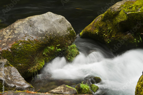 Rocks and creek, Susan Creek Falls area, Umpqua National Forest, Oregon, USA photo