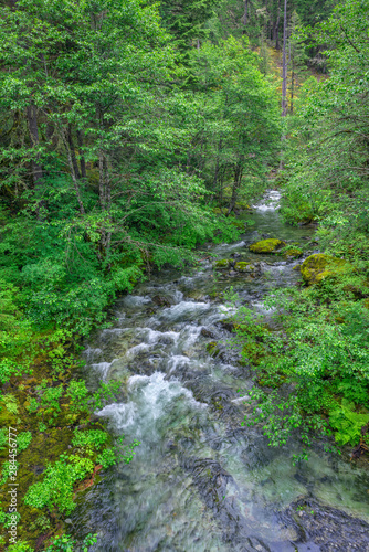 USA, Oregon, Willamette National Forest, Opal Creek Scenic Recreation Area, Battle Ax Creek with surrounding lush forest. © John Barger/Danita Delimont