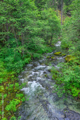 USA, Oregon, Willamette National Forest, Opal Creek Scenic Recreation Area, Battle Ax Creek with surrounding lush forest.