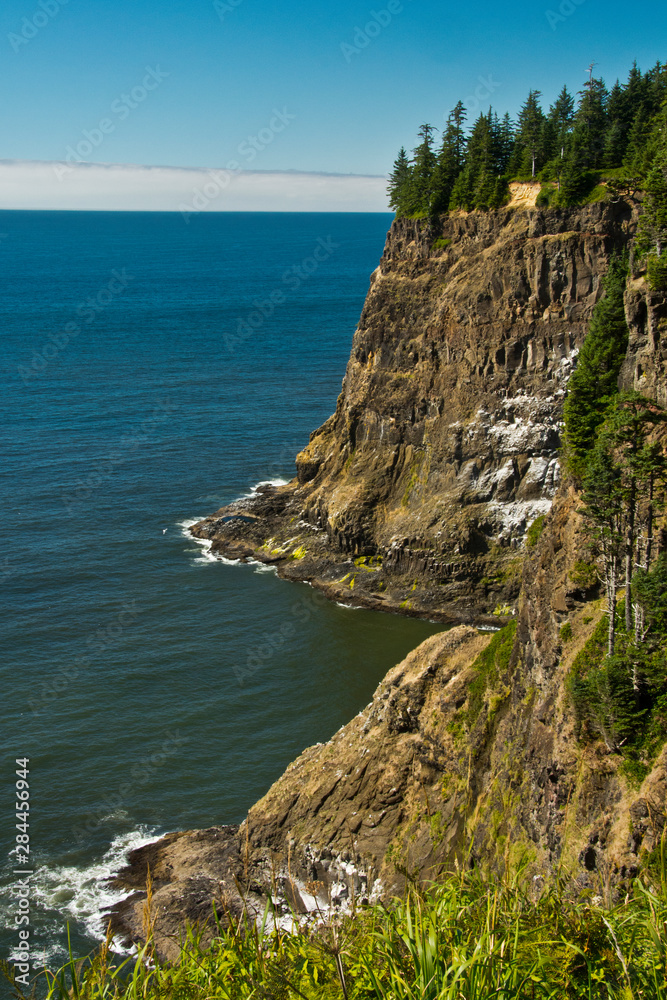 Cliff, Cape Meares State Park, Oregon, USA Cliff, Cape Meares State Park, Oregon, USA