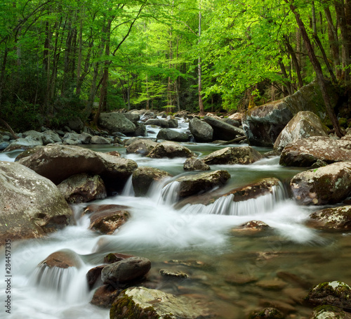 USA  Tennessee  Great Smoky Mountains National Park. Little Pigeon River at Greenbrier