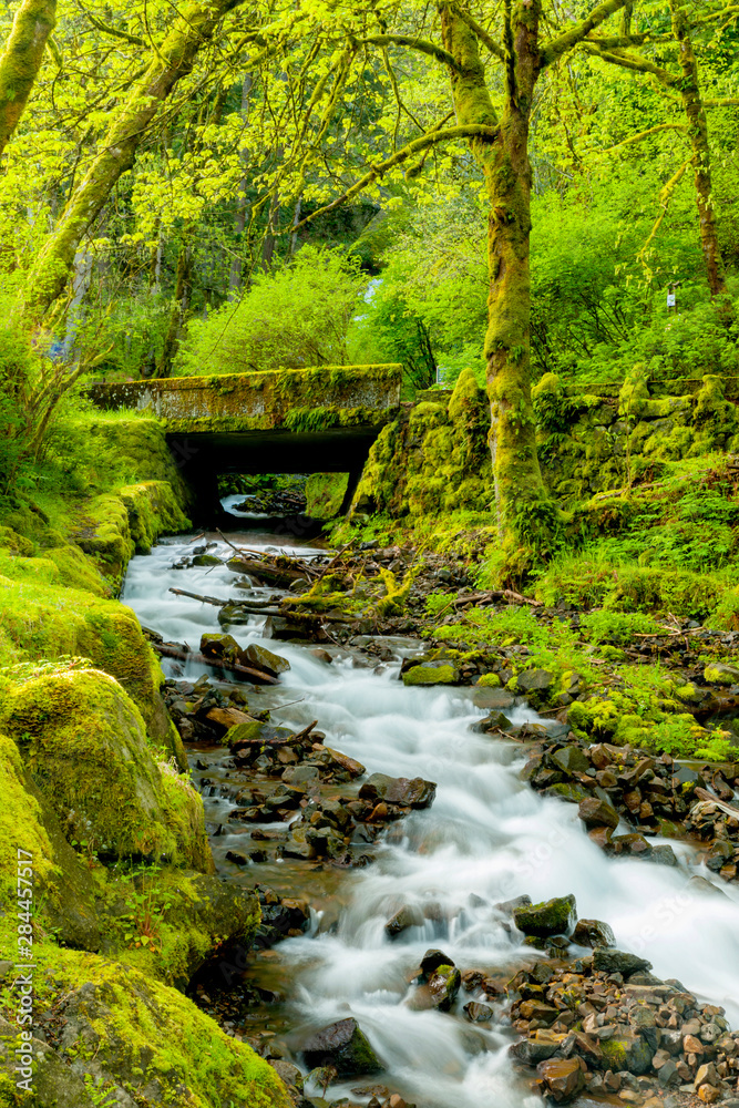 USA, Oregon, Wahkeena Falls. Located along I-84, the Columbia River Gorge Scenic Area is famous for its waterfalls. USA, Oregon, Wahkeena Falls. Located along I-84, the Columbia River Gorge Scenic Area is famous for its waterfalls.