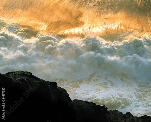 USA, Oregon, Heceta Head. A seagull is silhouetted as the setting sun highlights the surf at Heceta Head on the Oregon coast. photo