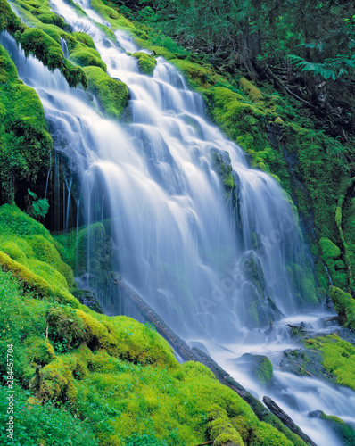 USA  Oregon  Proxy Falls. Proxy Falls cascades down a mossy green slope in the Cascades Range in Oregon.