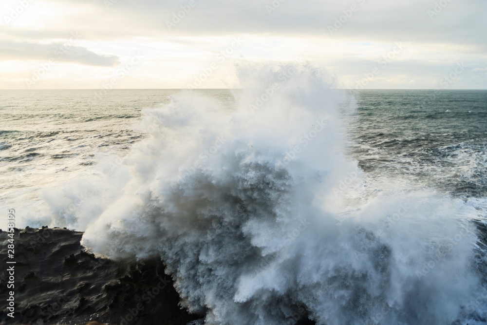 Obraz premium Winter storm watching, Shore Acres State Park, Southern Oregon Coast, USA